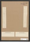 Nitzschia schlephackeana Grun. (de-Toni-Nr.: Genus 47, Species 2098) Zeichnungen Sammlung Grunow Nr. 4177 (NHMW-BOT-W0372067)